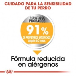 Royal canin dermacomfort medium pienso perros