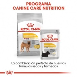 Royal canin dermacomfort medium pienso perros