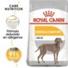 Foto 1 de Royal canin dermacomfort maxi pienso perros