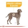 Foto 4 de Royal canin dermacomfort maxi pienso perros