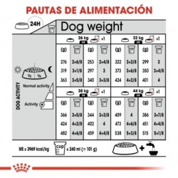 Royal canin dermacomfort maxi pienso perros