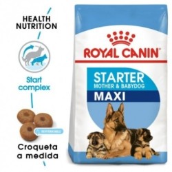 Royal canin maxi starter mother & babydog pienso perros raza grande