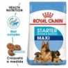 Foto 1 de Royal canin maxi starter mother & babydog pienso perros raza grande