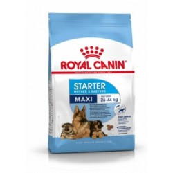 Royal canin maxi starter mother & babydog pienso perros raza grande