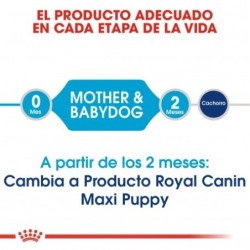 Royal canin maxi starter mother & babydog pienso perros raza grande