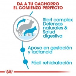 Royal canin maxi starter mother & babydog pienso perros raza grande