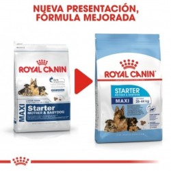 Royal canin maxi starter mother & babydog pienso perros raza grande