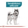 Foto 4 de Royal Canin Dog Maxi Joint Care 10 Kg