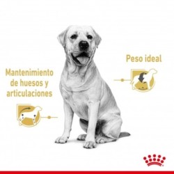 Royal Canin Labrador Retriever Comida húmeda 140 Grs.