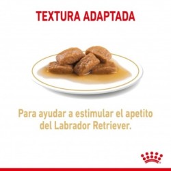 Royal Canin Labrador Retriever Comida húmeda 140 Grs.