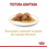 Foto 4 de Royal Canin Labrador Retriever Comida húmeda 140 Grs.