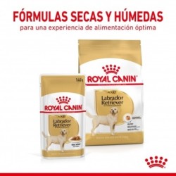 Royal Canin Labrador Retriever Comida húmeda 140 Grs.