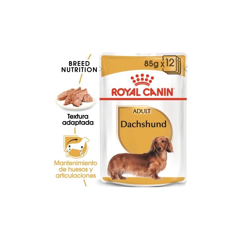 Royal canin comida húmeda para Teckel