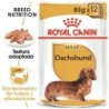 Foto 1 de Royal canin comida húmeda para Teckel