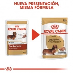 Royal canin comida húmeda para Teckel