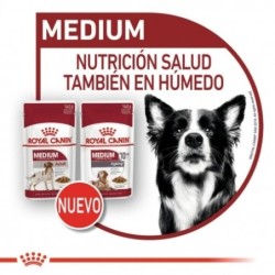 Royal Canin Ageing Medium Pouch Para Perro Senior 10x140g