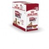 Foto 3 de Royal Canin Ageing Medium Pouch Para Perro Senior 10x140g