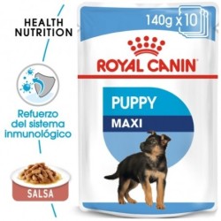 Royal Canin Maxi Puppy (Sobre) comida húmeda