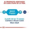 Foto 3 de Royal Canin Maxi Puppy (Sobre) comida húmeda