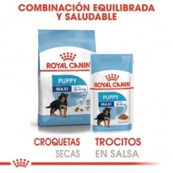 Royal Canin Maxi Puppy (Sobre) comida húmeda