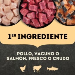 Acana Prairie Poultry pienso para perros adultos