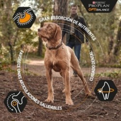 Purina Pro Plan OptiBalance Adulto Atlético Razas Grandes