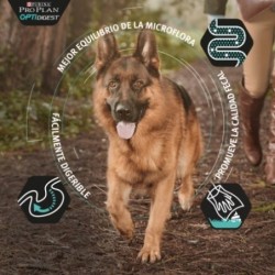 Purina Pro Plan OptiBalance Adulto Robusto Razas Grandes