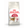 Foto 1 de Royal Canin Fit 32 Pienso Gato Adulto