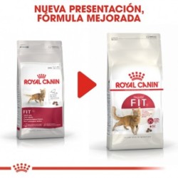 Royal Canin Fit 32 Pienso Gato Adulto