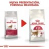 Foto 3 de Royal Canin Fit 32 Pienso Gato Adulto