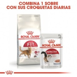 Royal Canin Fit 32 Pienso Gato Adulto