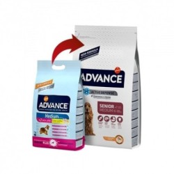 Advance Senior Medium Pollo y Arroz pienso perros mayores de razas medianas