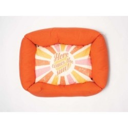 Bold Sun Cama Cuna Para Perros